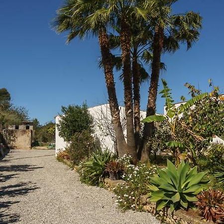 Can Beia Rural House Ibiza Βίλα Nuestra Señora de Jesus Εξωτερικό φωτογραφία