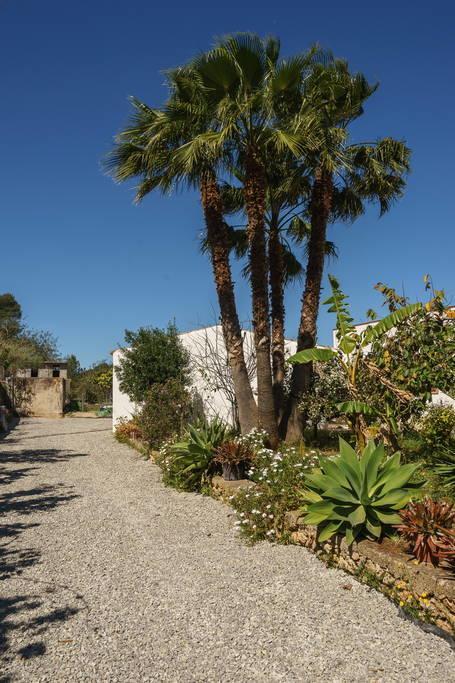 Can Beia Rural House Ibiza Βίλα Nuestra Señora de Jesus Εξωτερικό φωτογραφία